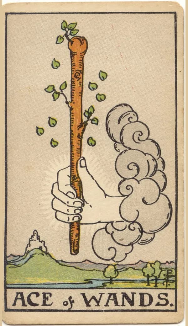 Ace of Wands, tarot card