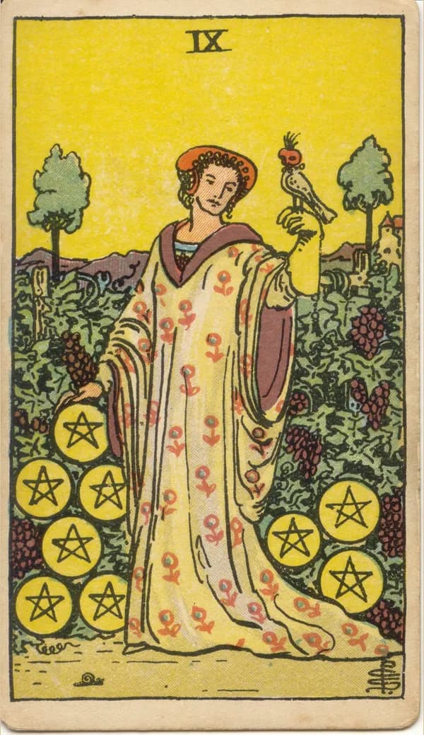 Nine of Pentacles, tarot card
