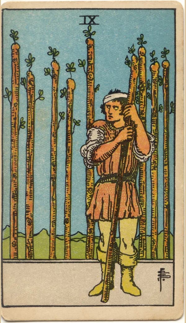 Nine of Wands, tarot card