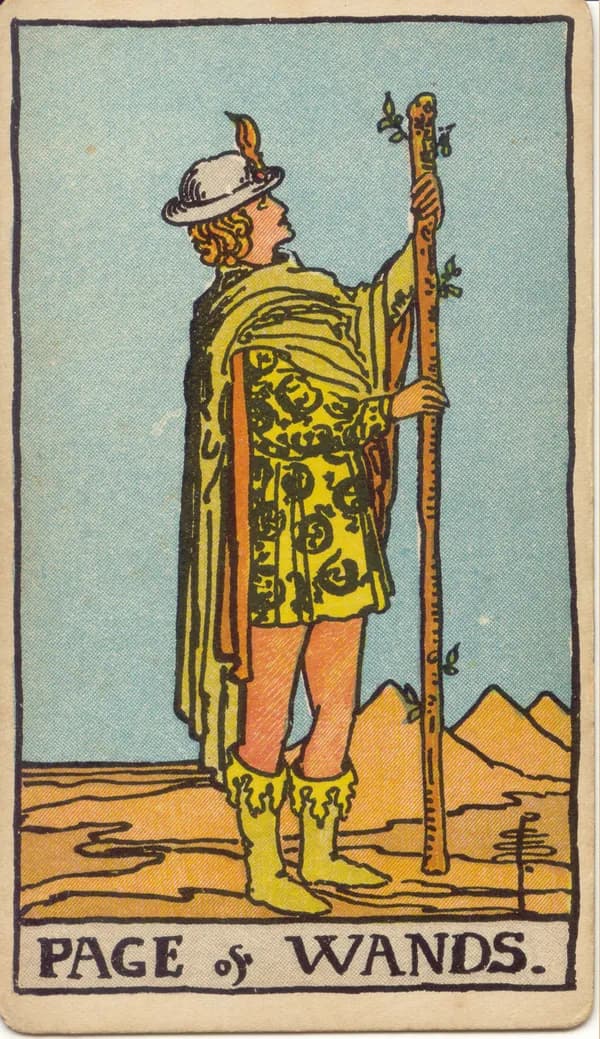 Page of Wands, tarot card