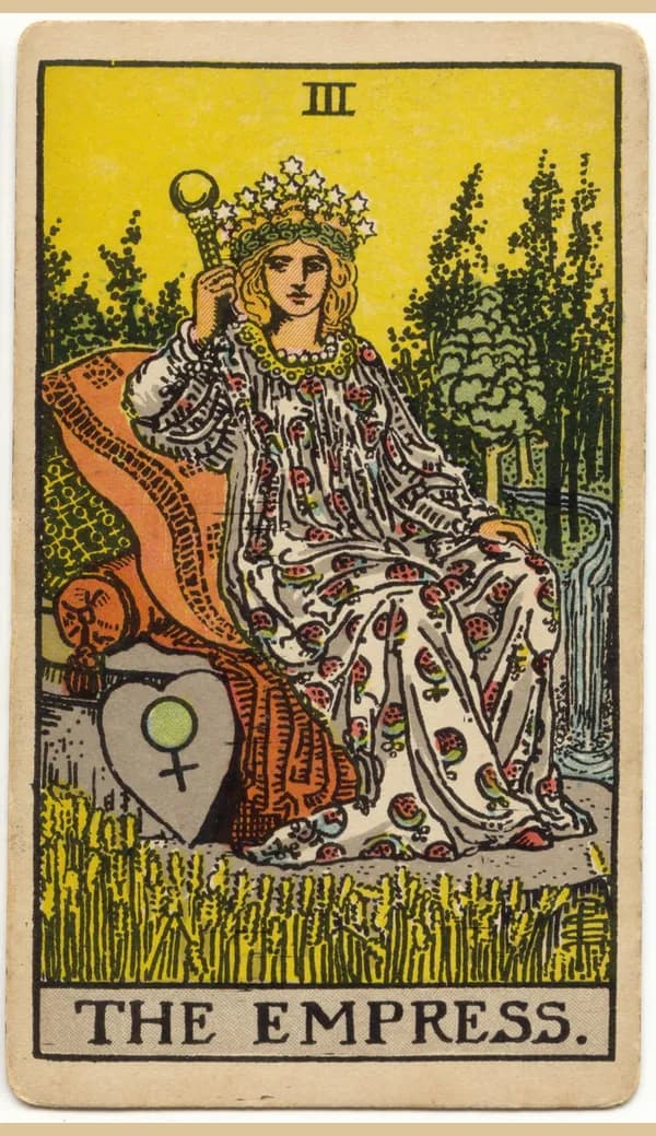 Back of a tarot card